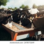 pg电子游戏平台的安全性与玩家保障措施分析 ngfsgn3s