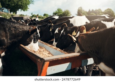 pg电子游戏平台的安全性与玩家保障措施分析