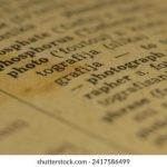 pg直营站:如何提升用户体验与客户忠诚度 q0lyw4