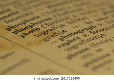 pg直营站：如何提升用户体验与客户忠诚度