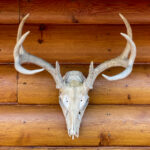 16012期七位数开奖结果已公布,速来查看中奖详情 3t0zywsm89