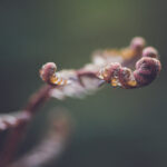 15选5的开奖时间具体安排及最新公告 7ipbi7w5f