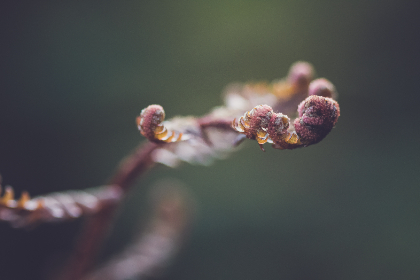 15选5的开奖时间具体安排及最新公告 15选5的开奖时间具体安排及最新公告