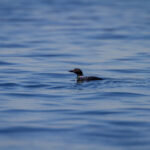 16092期足彩开奖结果公布,奖金池再创新高 868nqnr7