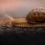 16081期足彩开奖结果揭晓,大奖花落谁家? 9gqq2st5