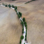 16017期七星彩开奖结果最新公布,快来看看你中奖了吗? a2xtsgvzk