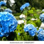 16074期足彩开奖结果揭晓,奖金分配详情公布 ctmpl