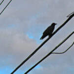 156999开奖现场直击:激动人心的幸运时刻 h4zyihfz22