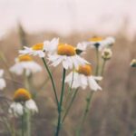 15选5历史开奖号码全记录与走势深度解析 jez69lz