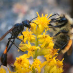 16020期彩票开奖结果最新公布与查询 l3t6x45vlg