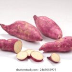 15选5最新开奖结果公布:幸运号码已揭晓 r426kmz