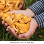 15日大乐透开奖结果公布,幸运号码揭晓 ss2t6epvj