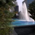 16009期体育彩票开奖结果查询与中奖号码公布 ua27a2