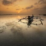 16030期双色球开奖结果公布:大奖花落谁家? zd68v99ws